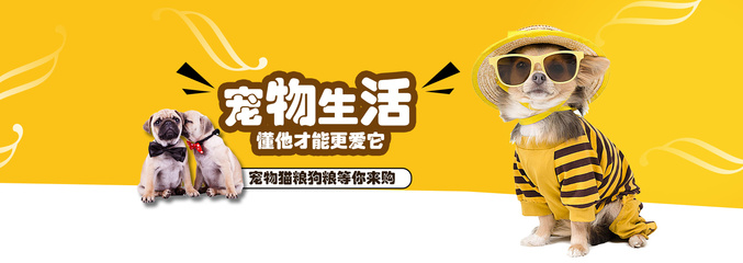 新2025澳门天天开好彩